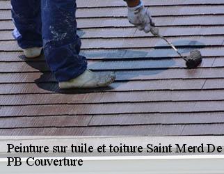 Peinture sur tuile et toiture  saint-merd-de-lapleau-19320 PB Couverture