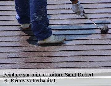 Peinture sur tuile et toiture saint-robert-19310 Artisan Lagrenee