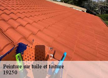 Peinture sur tuile et toiture 19250