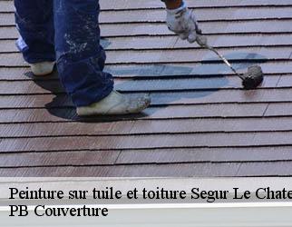 Peinture sur tuile et toiture segur-le-chateau-19230 Artisan Picque