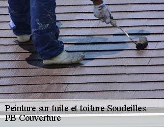 Peinture sur tuile et toiture soudeilles-19300 Artisan Picque
