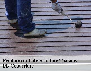 Peinture sur tuile et toiture thalamy-19200 PB Couverture