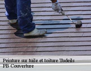 Peinture sur tuile et toiture tudeils-19120 PB Couverture