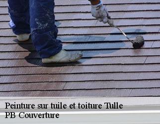 Peinture sur tuile et toiture tulle-19000 PB Couverture