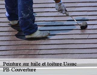 Peinture sur tuile et toiture ussac-19270 PB Couverture