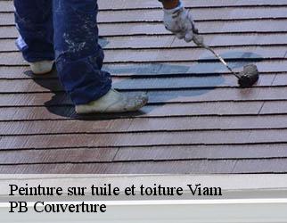 Peinture sur tuile et toiture  viam-19170 PB Couverture