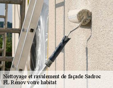 Nettoyage et ravalement de façade sadroc-19270 Artisan Lagrenee