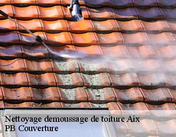 Nettoyage demoussage de toiture  aix-19200 PB Couverture