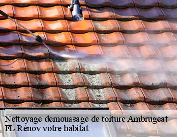 Nettoyage demoussage de toiture  ambrugeat-19250 Artisan Lagrenee