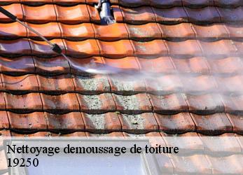 Nettoyage demoussage de toiture 19250