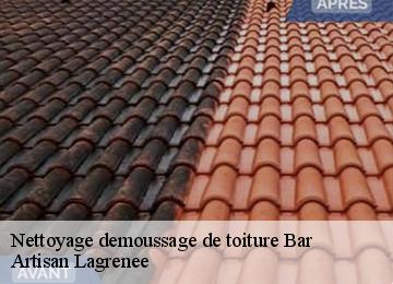 Nettoyage demoussage de toiture  bar-19800 Artisan Lagrenee