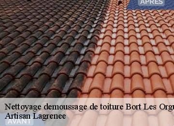 Nettoyage demoussage de toiture  bort-les-orgues-19110 Artisan Lagrenee