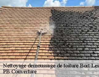 Nettoyage demoussage de toiture bort-les-orgues-19110 PB Couverture