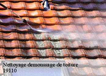 Nettoyage demoussage de toiture 19110