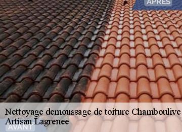 Nettoyage demoussage de toiture  chamboulive-19450 Artisan Lagrenee