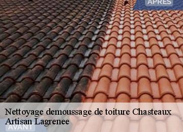 Nettoyage demoussage de toiture  chasteaux-19600 Artisan Lagrenee