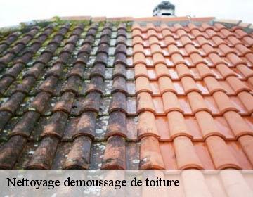 Nettoyage demoussage de toiture