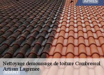 Nettoyage demoussage de toiture  combressol-19250 Artisan Lagrenee