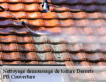 Nettoyage demoussage de toiture darnets-19300 PB Couverture