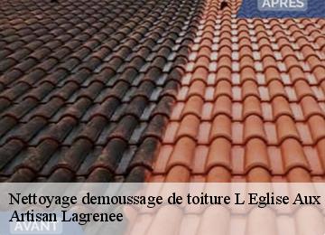 Nettoyage demoussage de toiture  l-eglise-aux-bois-19170 Artisan Lagrenee