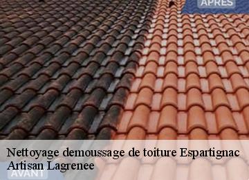 Nettoyage demoussage de toiture  espartignac-19140 Artisan Lagrenee