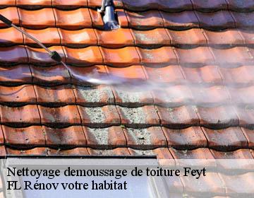 Nettoyage demoussage de toiture feyt-19340 Artisan Lagrenee
