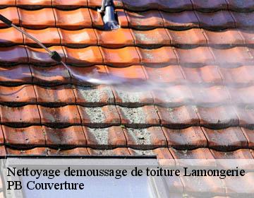 Nettoyage demoussage de toiture lamongerie-19510 PB Couverture