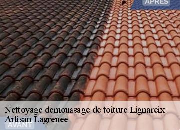 Nettoyage demoussage de toiture  lignareix-19200 Artisan Lagrenee