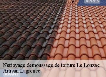 Nettoyage demoussage de toiture  le-lonzac-19470 Artisan Lagrenee