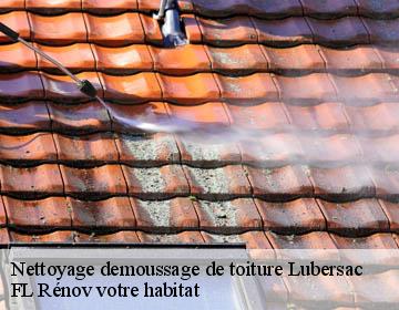 Nettoyage demoussage de toiture lubersac-19210 Artisan Lagrenee