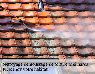 Nettoyage demoussage de toiture meilhards-19510 Artisan Lagrenee