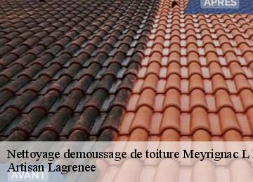 Nettoyage demoussage de toiture  meyrignac-l-eglise-19800 Artisan Lagrenee