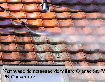 Nettoyage demoussage de toiture orgnac-sur-vezere-19410 PB Couverture