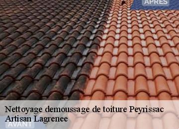 Nettoyage demoussage de toiture  peyrissac-19260 Artisan Lagrenee