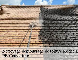 Nettoyage demoussage de toiture roche-le-peyroux-19160 PB Couverture