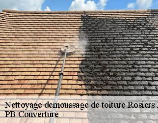 Nettoyage demoussage de toiture rosiers-d-egletons-19300 PB Couverture