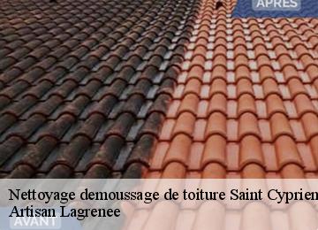 Nettoyage demoussage de toiture  saint-cyprien-19130 Artisan Lagrenee
