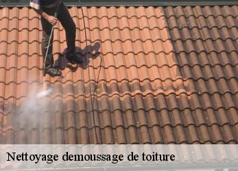 Nettoyage demoussage de toiture