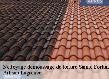 Nettoyage demoussage de toiture  sainte-fortunade-19490 Artisan Lagrenee