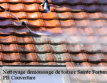 Nettoyage demoussage de toiture  sainte-fortunade-19490 PB Couverture
