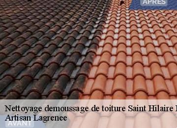 Nettoyage demoussage de toiture  saint-hilaire-foissac-19550 Artisan Lagrenee