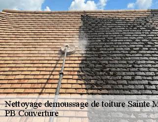 Nettoyage demoussage de toiture sainte-marie-lapanouze-19160 PB Couverture