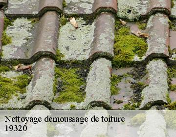 Nettoyage demoussage de toiture 19320