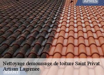 Nettoyage demoussage de toiture  saint-privat-19220 Artisan Lagrenee