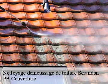 Nettoyage demoussage de toiture serandon-19160 PB Couverture