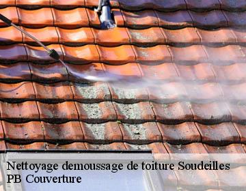Nettoyage demoussage de toiture soudeilles-19300 PB Couverture