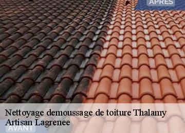 Nettoyage demoussage de toiture  thalamy-19200 Artisan Lagrenee