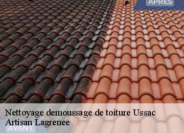 Nettoyage demoussage de toiture  ussac-19270 Artisan Lagrenee