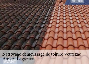Nettoyage demoussage de toiture  voutezac-19130 Artisan Lagrenee