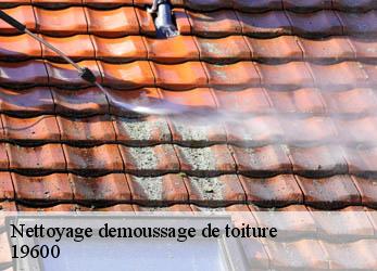 Nettoyage demoussage de toiture 19600